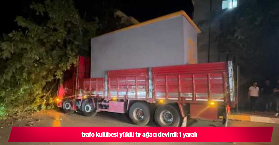 trafo kulübesi yüklü tır ağacı devirdi: 1 yaralı