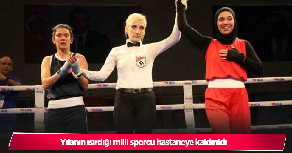 Yılanın ısırdığı milli sporcu hastaneye kaldırıldı