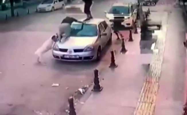 2 genç, köpek saldırısından aracın üzerine çıkarak kurtuldu