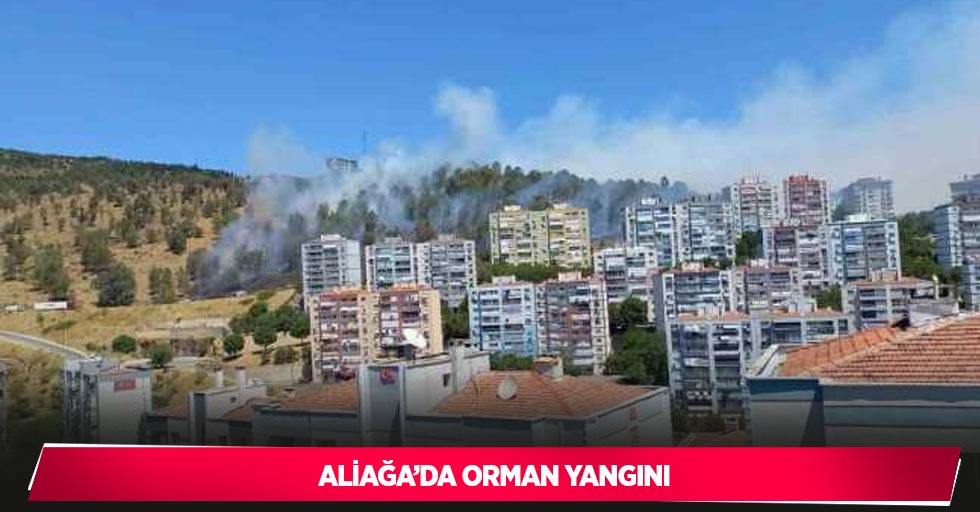 Aliağa’da orman yangını