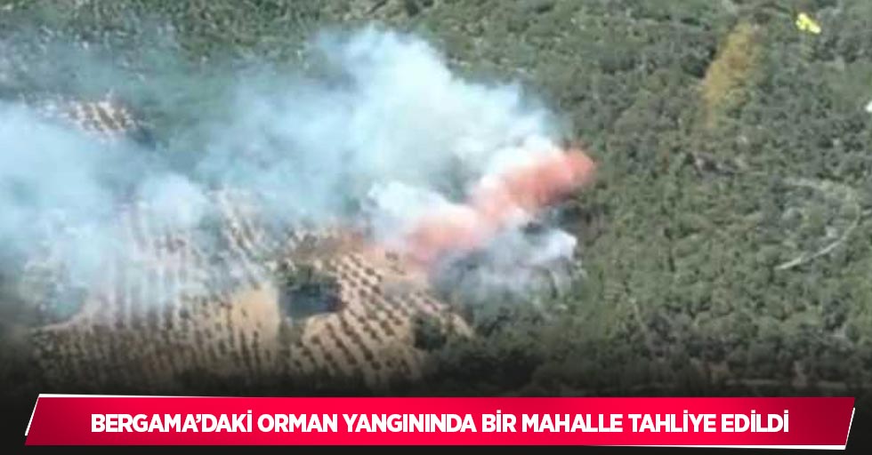 Bergama’daki orman yangınında bir mahalle tahliye edildi