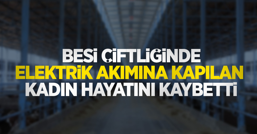 Besi çiftliğinde elektrik akımına kapılan kadın hayatını kaybetti