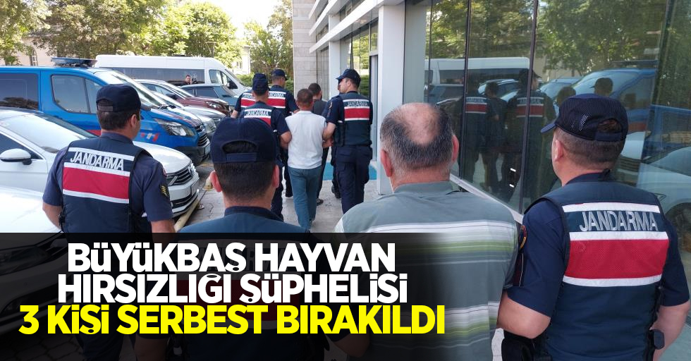 Büyükbaş hayvan hırsızlığı şüphelisi 3 kişi serbest bırakıldı