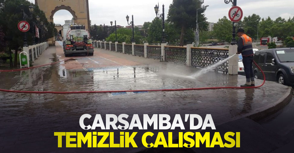 Çarşamba'da temizlik çalışması