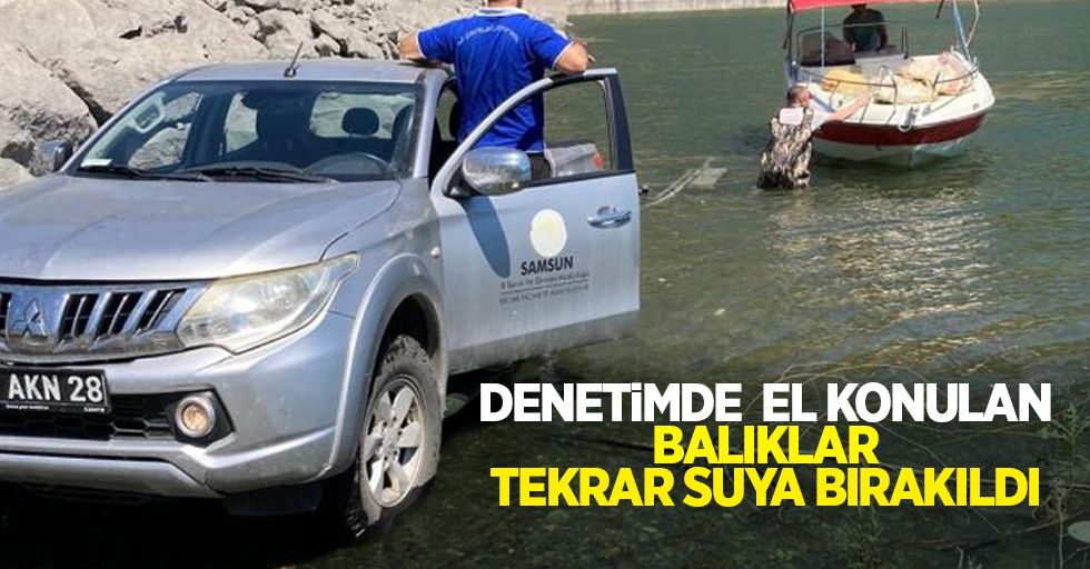 Denetimde el konulan balıklar tekrar suya bırakıldı