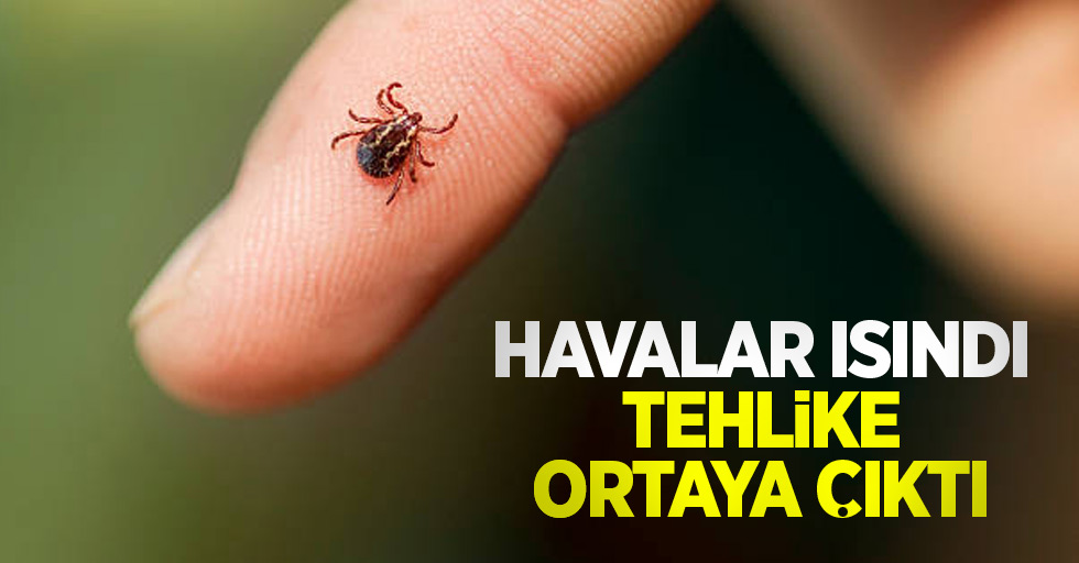 Havalar ısındı tehlike ortaya çıktı!