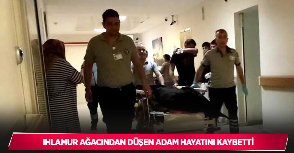 Ihlamur ağacından düşen adam hayatını kaybetti