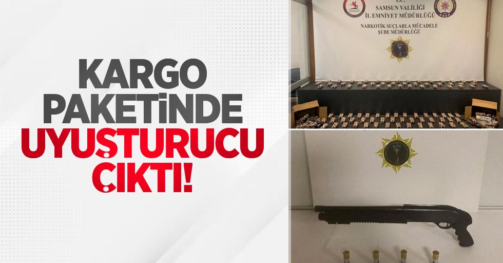 Kargo paketinde uyuşturucu çıktı: 2 gözaltı