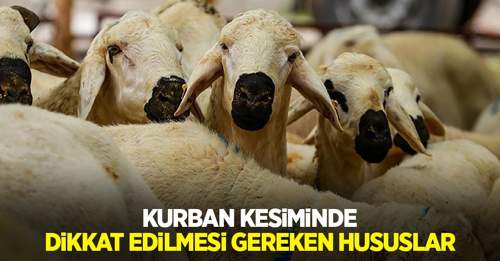 Kurban kesiminde dikkat edilmesi gereken hususlar