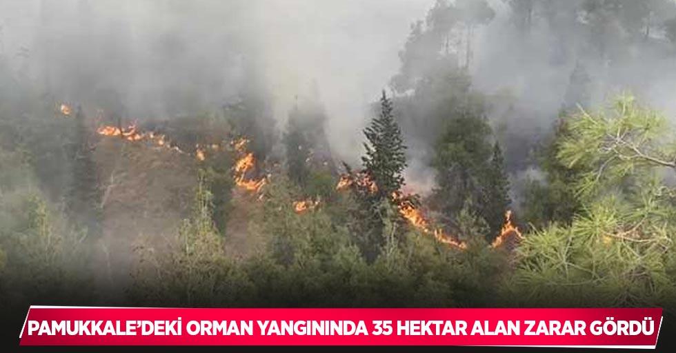 Pamukkale’deki orman yangınında 35 hektar alan zarar gördü