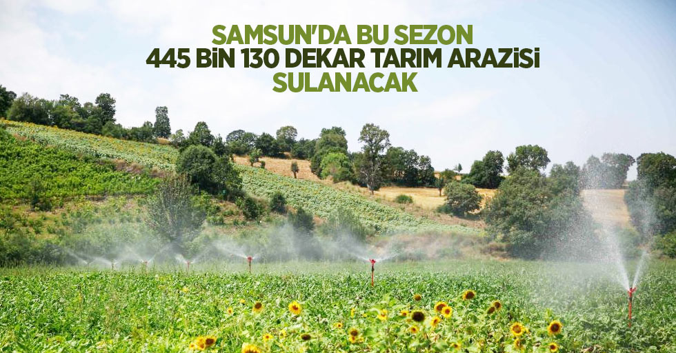 Samsun'da bu sezon 445 bin 130 dekar tarım arazisi sulanacak
