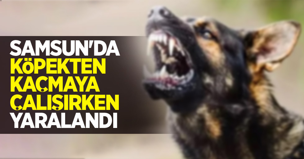 Samsun'da köpekten kaçmaya çalışırken yaralandı