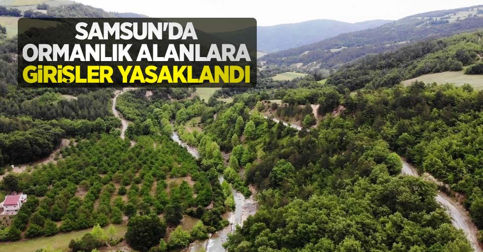 Samsun'da ormanlık alanlara girişler yasaklandı