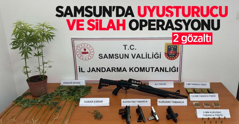 Samsun'da uyuşturucu ve silah operasyonu: 2 gözaltı