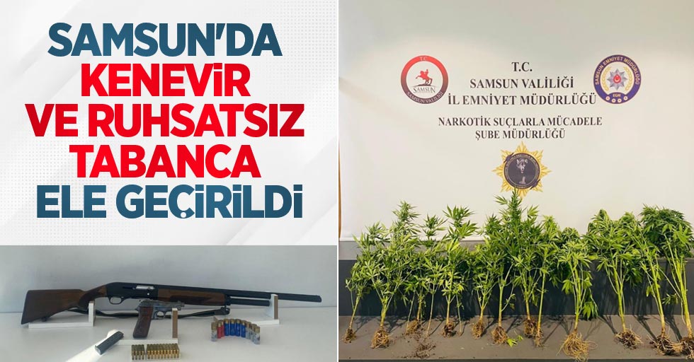 Samsun’da kenevir ve ruhsatsız tabanca ele geçirildi