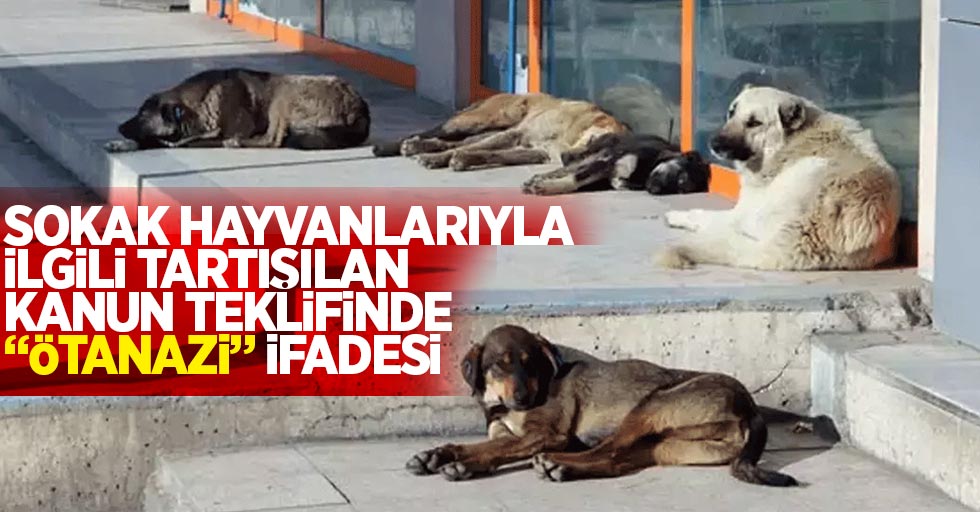 Sokak hayvanlarıyla ilgili tartışılan kanun teklifinde "ötanazi" ifadesi