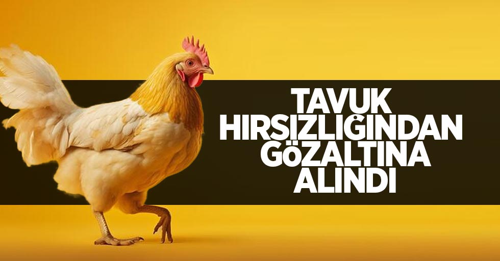 Tavuk hırsızlığından gözaltına alındı