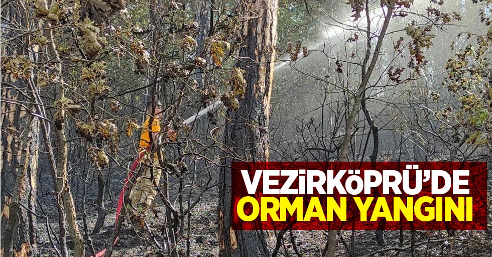 Vezirköprü'de orman yangını