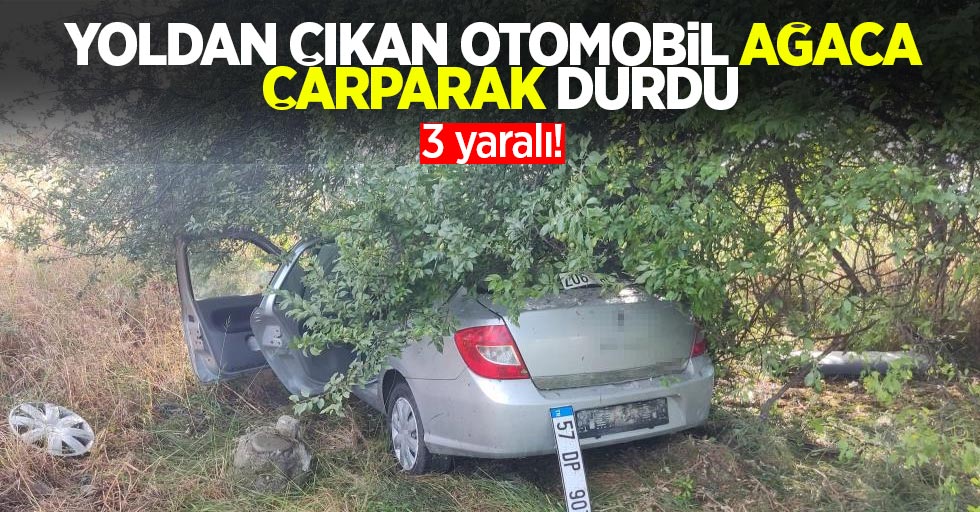 Yoldan çıkan otomobil ağaca çarparak durdu: 3 yaralı