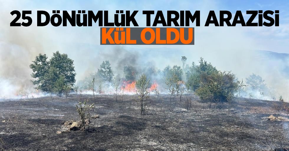 25 dönümlük tarım arazisi kül oldu