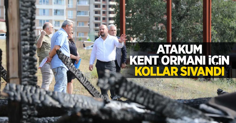 Atakum Kent Ormanı için kollar sıvandı