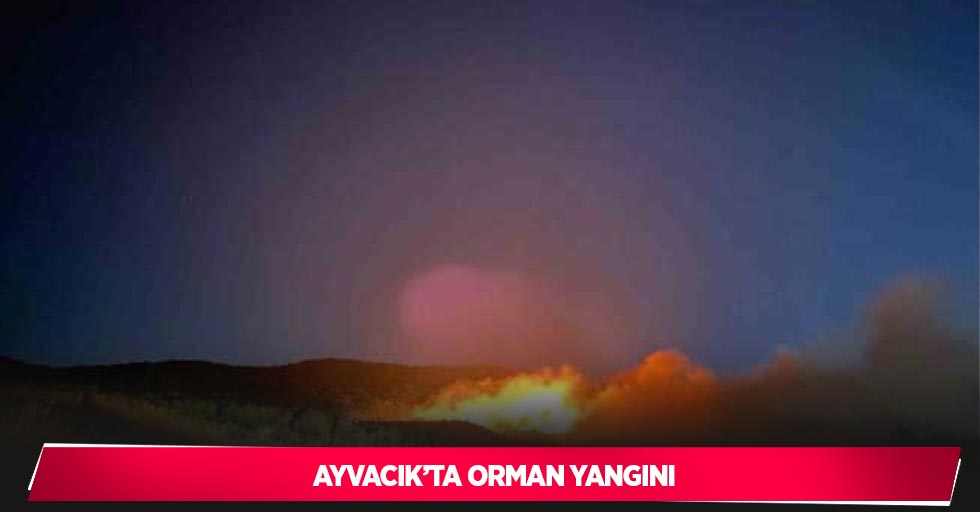 Ayvacık’ta orman yangını