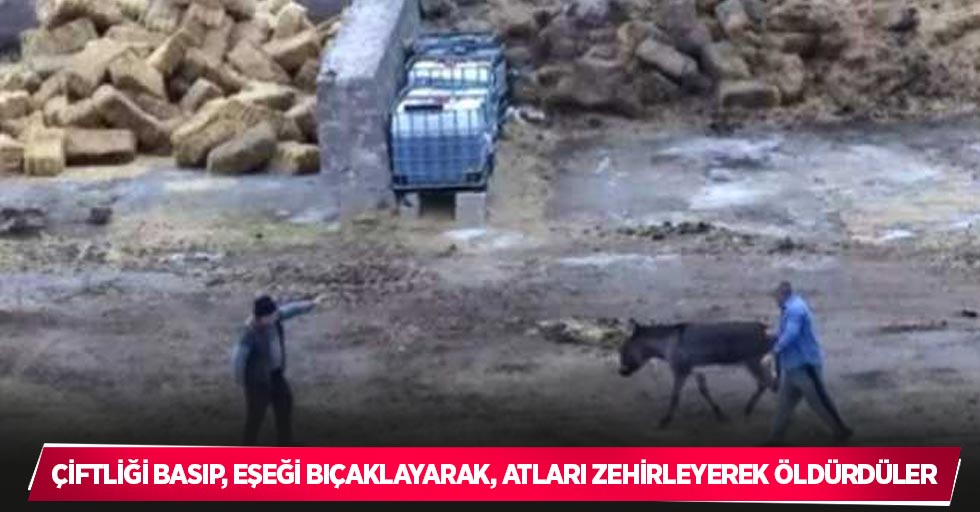 Çiftliği basıp, eşeği bıçaklayarak, atları zehirleyerek öldürdüler