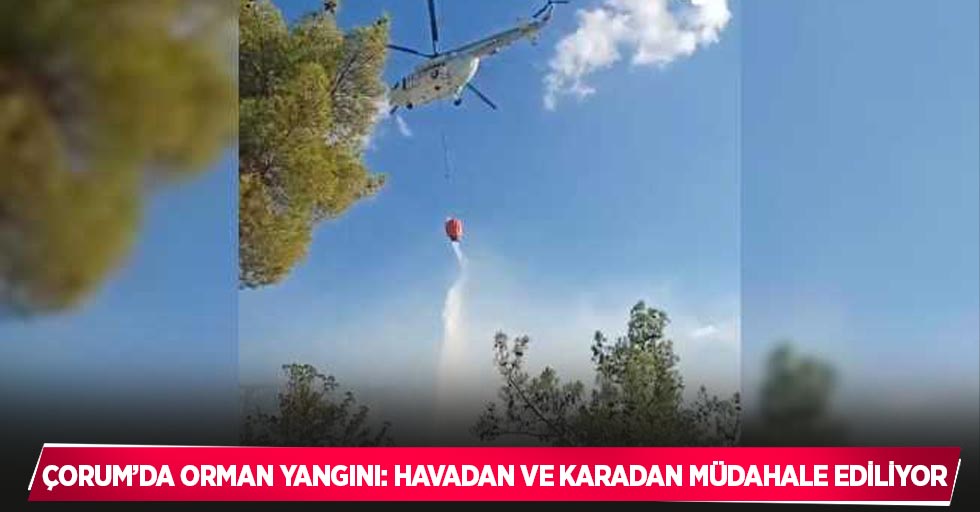 Çorum’da orman yangını: Havadan ve karadan müdahale ediliyor