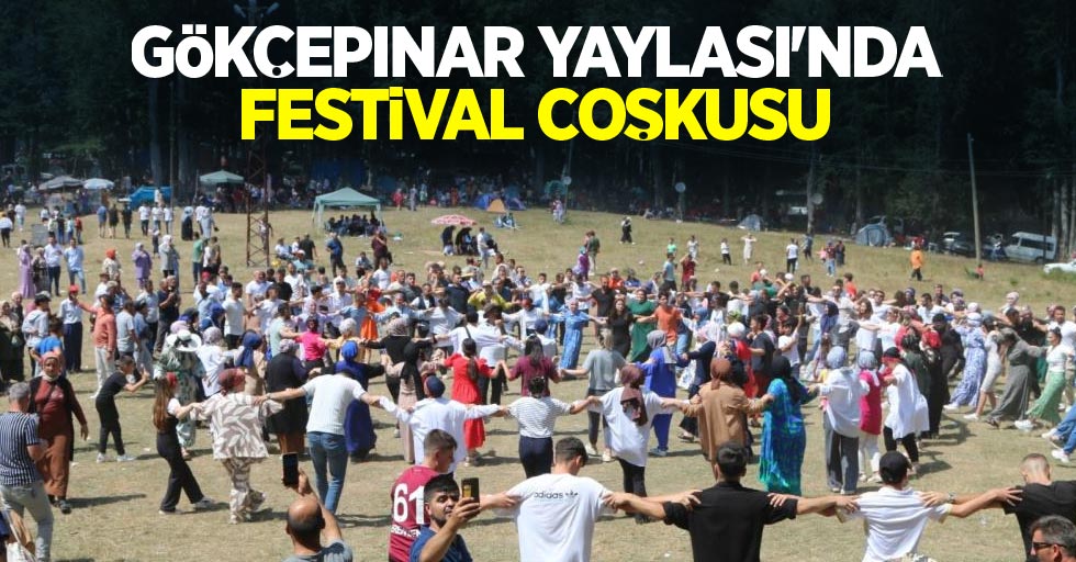 Gökçepınar Yaylası’nda festival coşkusu