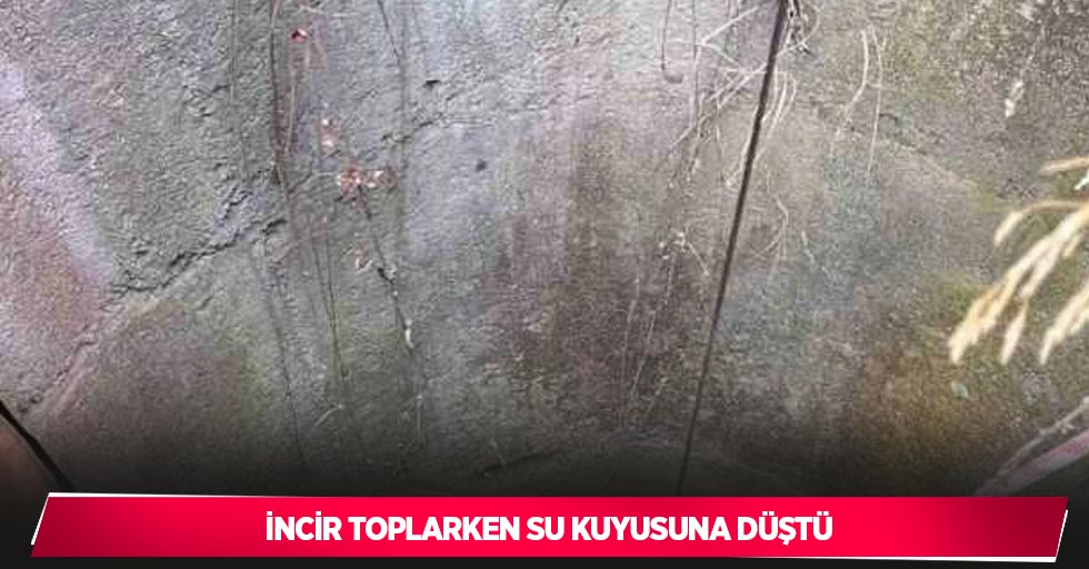 İncir toplarken su kuyusuna düştü