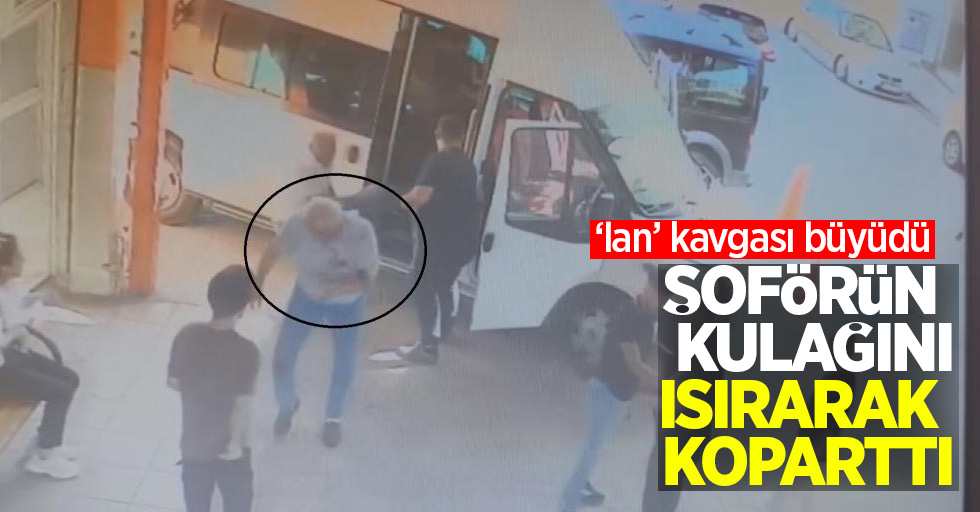 'lan' kavgası büyüdü: Şoförün kulağını ısırarak koparttı