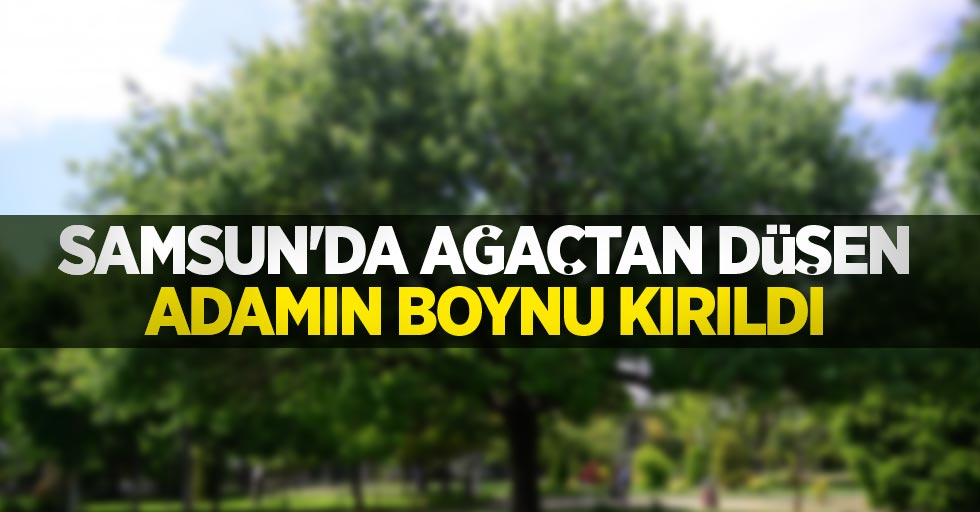 Samsun'da ağaçtan düşen adamın boynu kırıldı