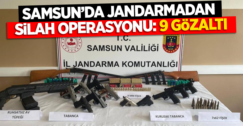 Samsun'da jandarmadan silah operasyonu: 9 gözaltı