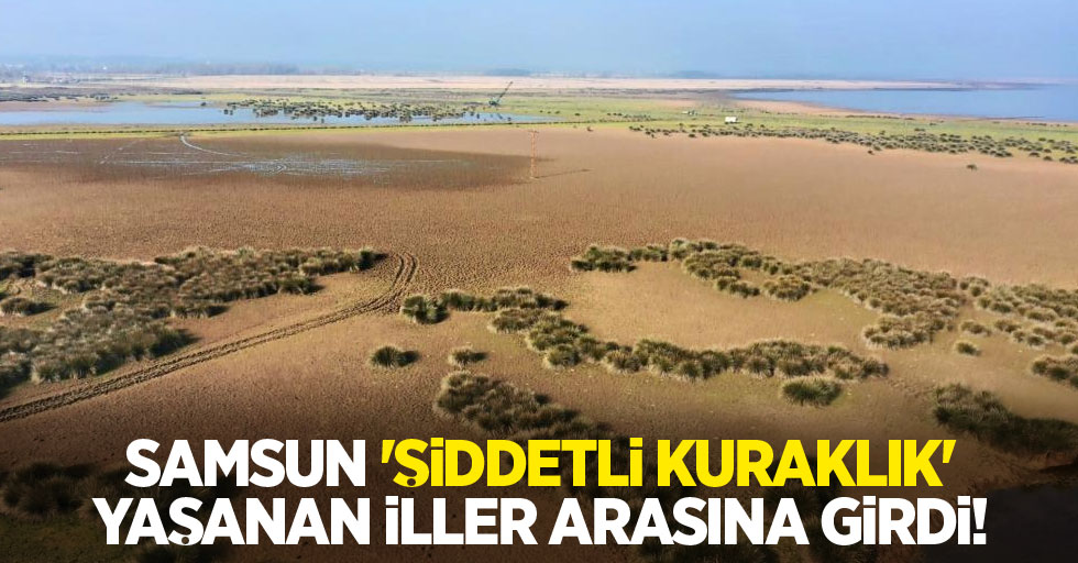 Samsun 'şiddetli kuraklık' yaşanan iller arasına girdi!