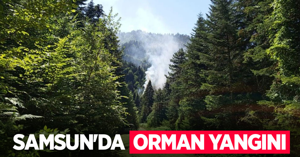 Samsun’da orman yangını