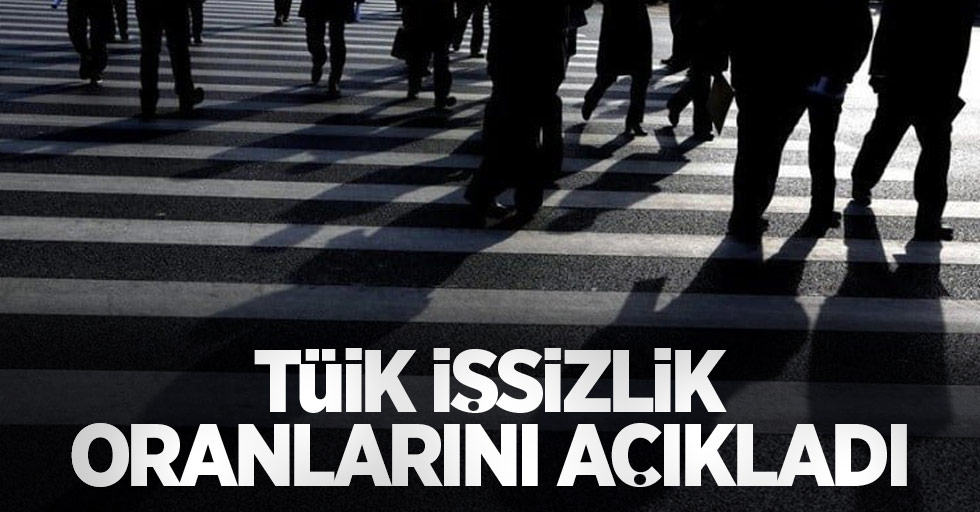 TÜİK işsizlik oranlarını açıkladı