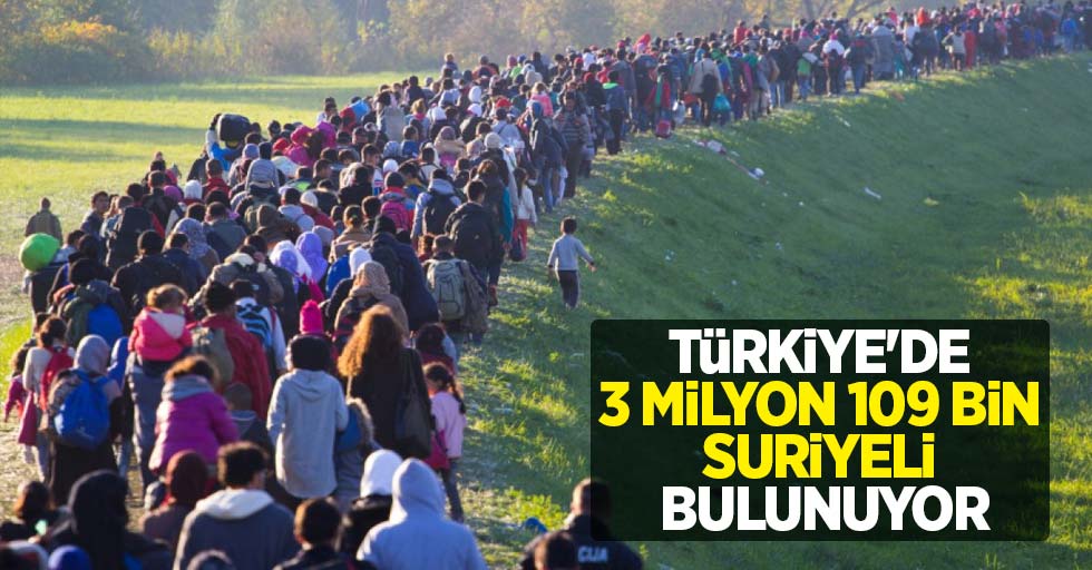 Türkiye'de 3 milyon 109 bin Suriyeli bulunuyor
