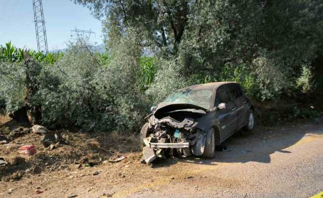 Yol kenarındaki ağaca çarpan otomobilin sürücüsü hayatını kaybetti