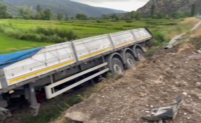 Yoldan çıkan 2 tır peş peşe çeltik tarlasına devrildi