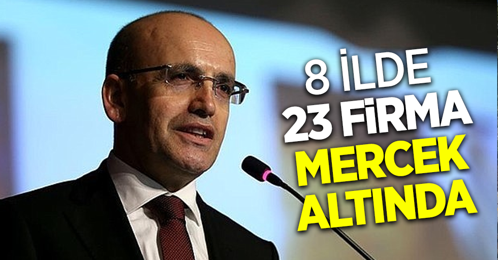 8 İlde 23 firma mercek altında