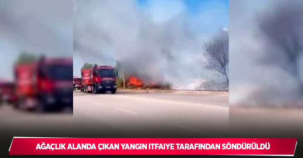 Ağaçlık alanda çıkan yangın itfaiye tarafından söndürüldü