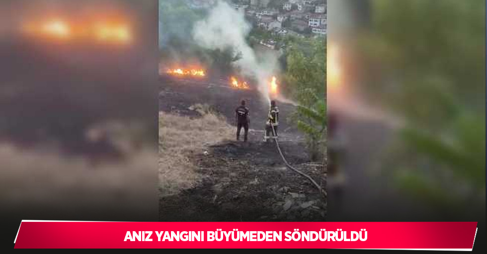 Anız yangını büyümeden söndürüldü