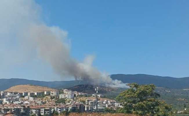 Balıkesir’de orman yangını