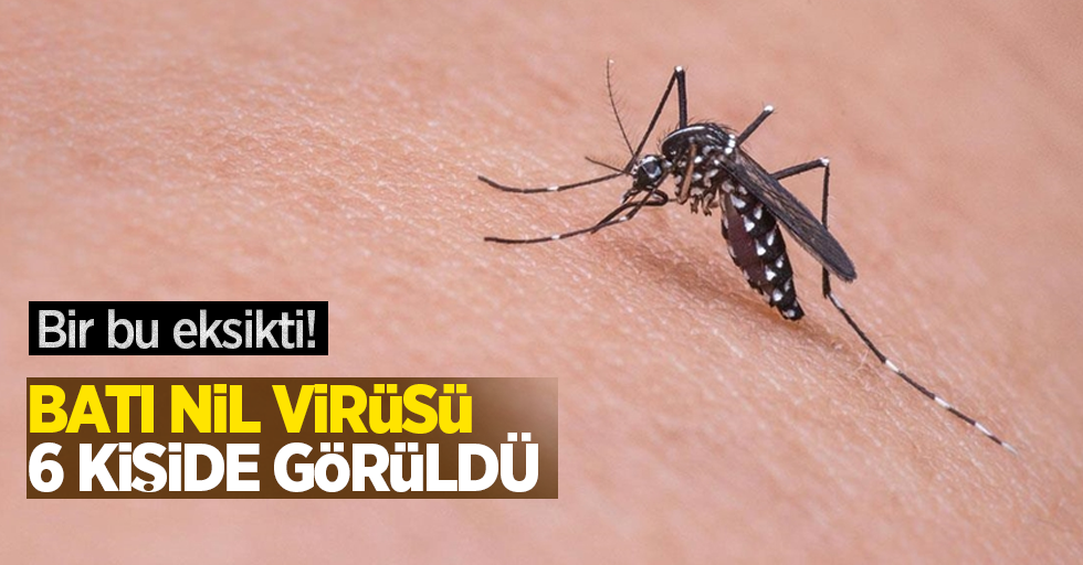 Bir bu eksikti: Batı Nil Virüsü 6 kişide görüldü!