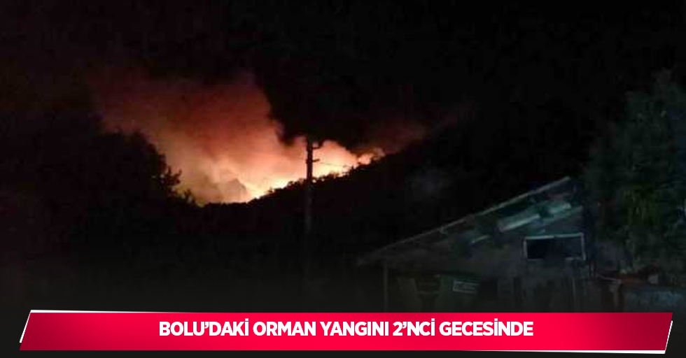 Bolu’daki orman yangını 2’nci gecesinde