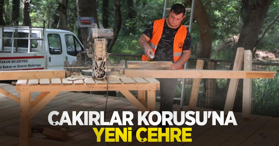 Çakırlar Korusu'na yeni çehre