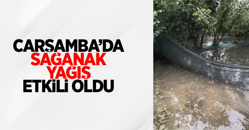 Çarşamba'da sağanak yağış etkili oldu