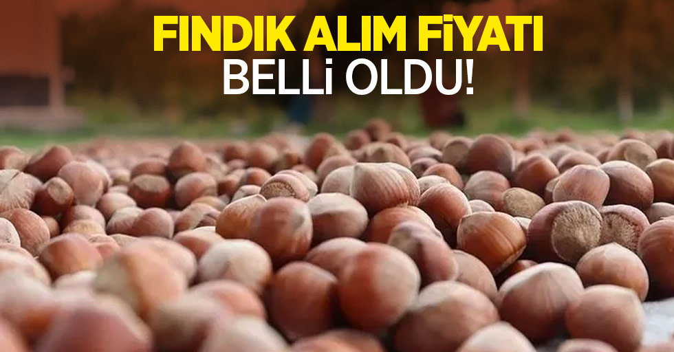 Fındık alım fiyatı belli oldu!