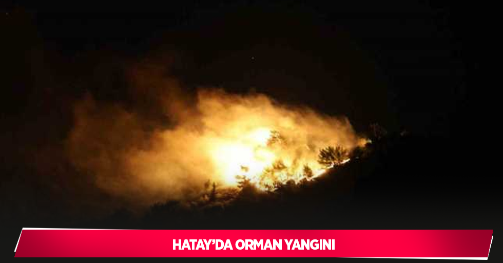 Hatay’da orman yangını