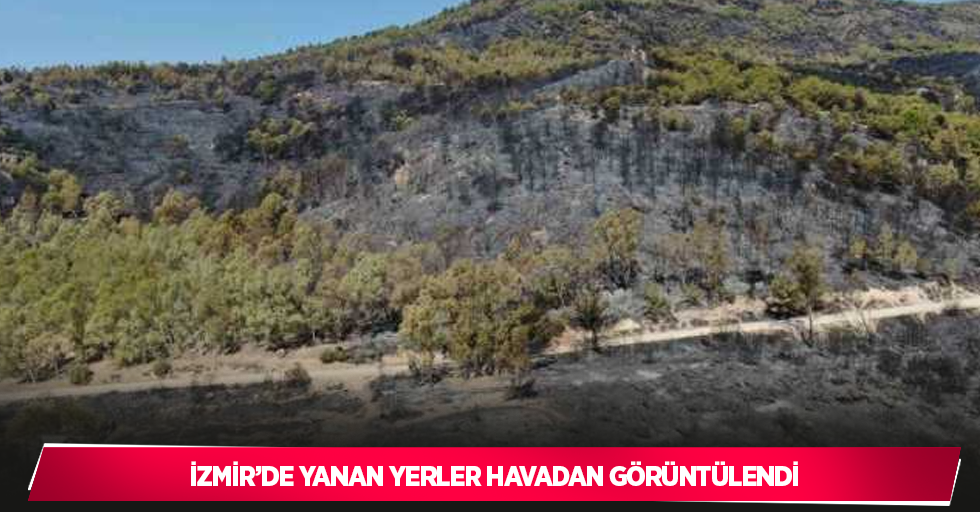 İzmir’de yanan yerler havadan görüntülendi